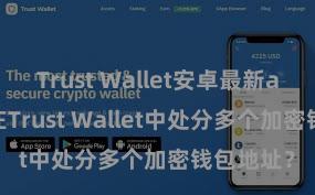 Trust Wallet安卓最新apk 如安在Trust Wallet中处分多个加密钱包地址？